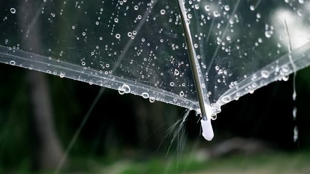 Close-up on umbrella with raining in the park outside