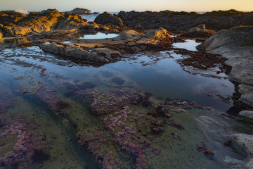 Bean Hollow State Beach Sunset California