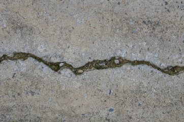Grunge concrete cement wall with crack in industrial building, great for your design and texture background
