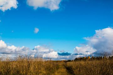 Fototapeta premium The sky and clouds