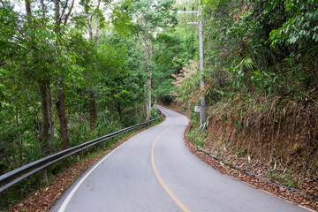  Road in the jungle at Baan Mae Kam Pong, Chiangmai, Thailand
