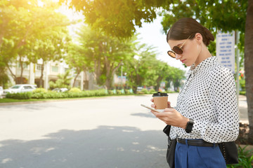 Fototapeta premium Stylish business lady
