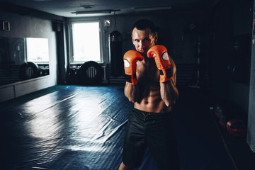 Handsome Man In Orange Boxing Gloves - Boxing In Gym - The Concept Of A Healthy Lifestyle - The...