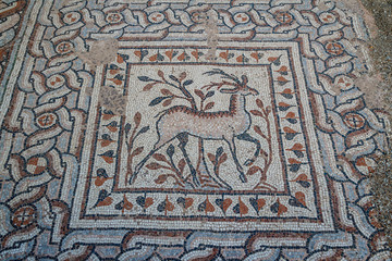 Ruins of the ancient Heraclea Lyncestis town, Macedonia (FYROM)