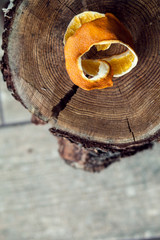orange peel and cinnamon in the background cut down a tree.
