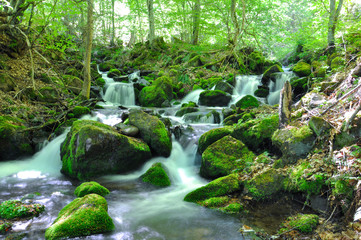 Beautiful view of mountain river in summer, Old Mountain, Serbia. Wild river with a lot of cascade in green rain forest