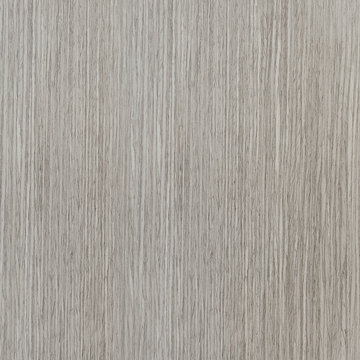 The texture is light veneer close up. Wood texture. Natural veneer wood. Wood background front view texture. bleached oak. Texture for interior.