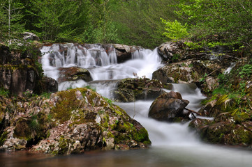 Beautiful view of mountain river in summer, Old Mountain, Serbia. Wild river with a lot of cascade in green rain forest
