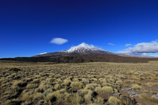 Snowcovered Volcano Tromen in northern Patagonia, Argentina