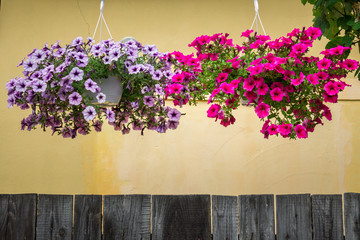 flower pot over wooden fence