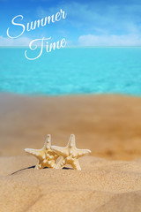 Plakat Summer beach with a starfish on a background. Summer beach background.