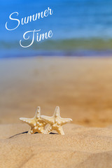 Fototapeta na wymiar Summer beach with a starfish on a background. Summer beach background.