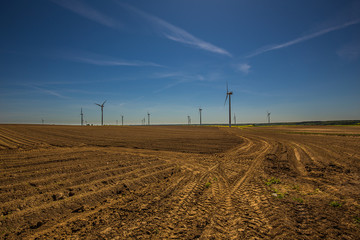 wind turbine farm. Protection of nature.