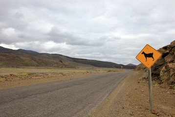 Warning sign for goats on road, Neuquen, Patagonia, Argentina