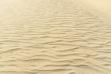 Sand dunes