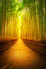 Papier Peint photo autocollant Bambou Chemin dans la bambouseraie, Sagano à Arashiyama au coucher du soleil. La forêt de Kyoto est la deuxième destination touristique la plus populaire et les stations phonétiques célèbres du Japon. Concept d& 39 écoute méditative. Prise de vue verticale.
