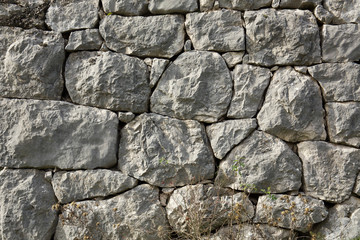 wall