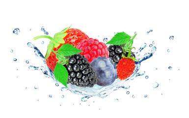 Berries splash water isolated