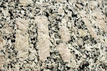 Large feldspar crystals in a magmatic rock