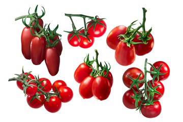 Italian tomatoes in clusters, paths