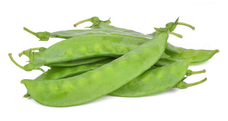 Pisum sativum isolated on white background