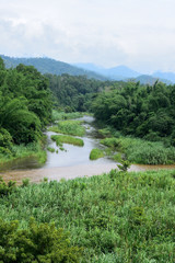 Forest landscape at Huai Kha Khaeng Wildlife Sanctuary, Thailand, World Heritage