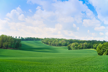 Picturesque rural summer landscape