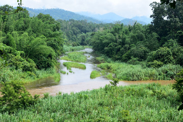 Fototapeta na wymiar Forest landscape at Huai Kha Khaeng Wildlife Sanctuary, Thailand, World Heritage