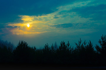 Sunset over forest, evening nature, wilderness