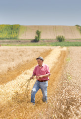 Naklejka na ściany i meble Farmer walking in wheat field in harvest time