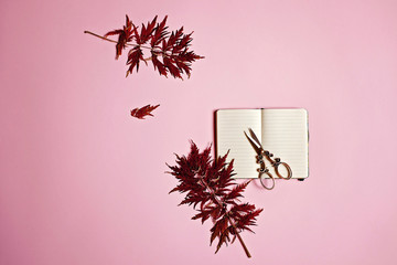 Flat lay creative arrangement with red leaves, bronze scissors and clean notebook on pink pale...