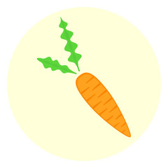 Flat orange fresh carrot vector icon, carrot for salad, summer vegetable