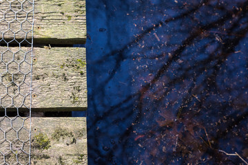 closeup walkway over the pond