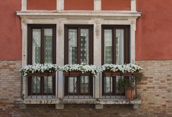 Fototapeta na wymiar Finestra decorate con vasi di fiori a Venezia