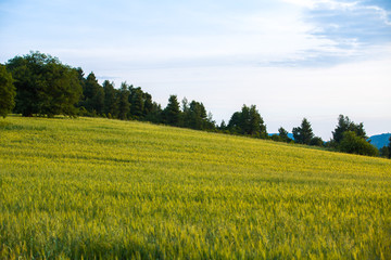 Obraz premium Countryside
