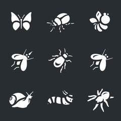Vector Set of Various Insects Icons.