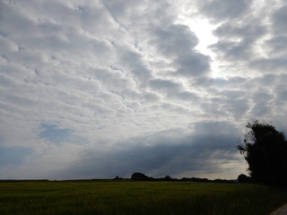 Obraz na płótnie Canvas Altocumulus - Wolken am Morgen