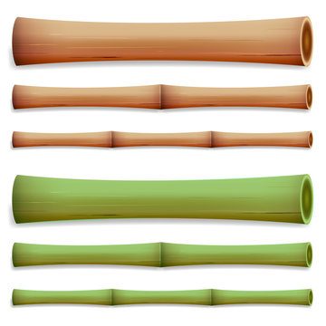Bamboo Stems Isolated. Green And Brown Sticks. Vector Illustration. Realistic Element For Design.