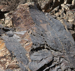 ancient rock drawings (petroglyph), big human