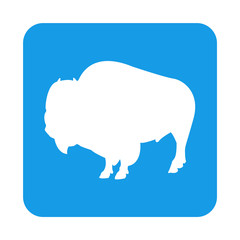 Icono plano bisonte en cuadrado azul