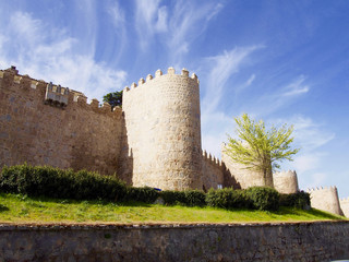 Fototapeta na wymiar Defense wall of Avila city in Spain
