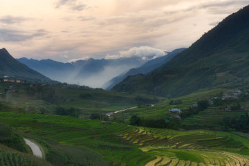 Rice fields in the valley of Ta Va, Sa Pa, Vietnam