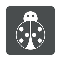 Icono plano mariquita en cuadrado gris