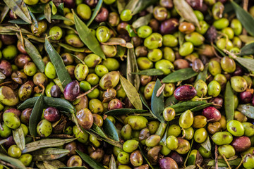 Olives