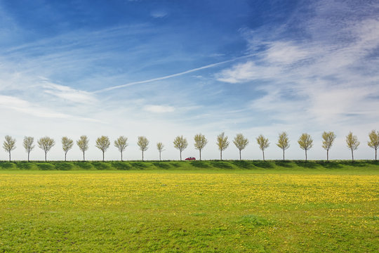 Red car on a dike with a row of trees in the Beemster Polder