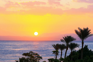 Fototapeta na wymiar Palm trees at beautiful sunset