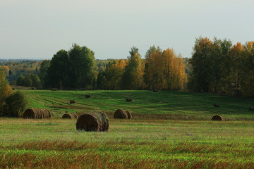 landscape haystacks in a field of autumn village