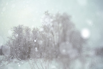 Winter forest blurred background snow landscape