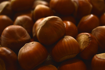 Filbert nuts texture background