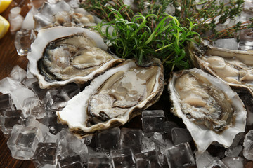 Tasty fresh oysters with herbs and ice, closeup. Aphrodisiac food for increasing sexual desire